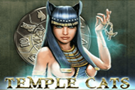 Temple Cats